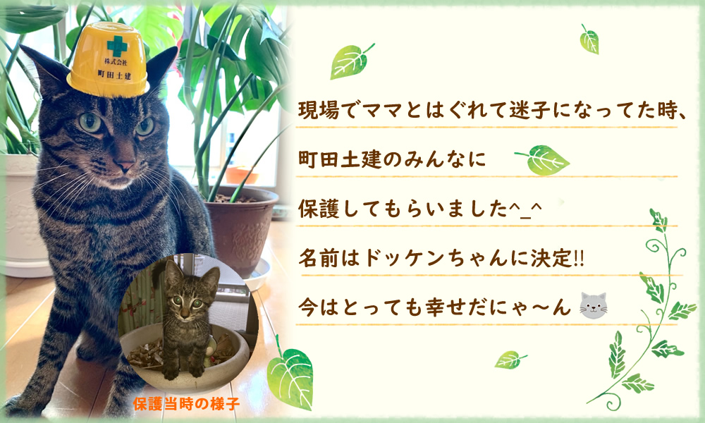 ドッケンちゃん